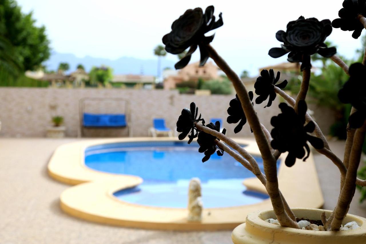 Villa Tres Palmeras En Alfaz Del Pi , Albir, Benidorm L'Alfas del Pi Exterior foto